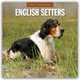 Text: "2027 Calendar, English Setters". Ein Spaniel-ähnlicher Hund sitzt im Gras.