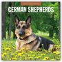 Text: "2027 Calendar" und "German Shepherds". Ein Deutscher Schäferhund liegt auf einer Wiese mit gelben Blumen vor Bäumen.