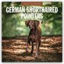 Text: "2027 Calendar, German Shorthaired Pointers." Ein Hund läuft durch einen sonnigen Waldweg.