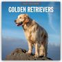 2027 Calendar: Golden Retrievers. Ein Golden Retriever steht majestätisch auf einem Felsen vor blauem Himmel.