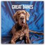Text: "2027 Calendar Great Danes." Ein Hund liegt auf blauem Stoffhintergrund.