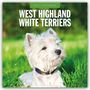 "2027 Calendar. West Highland White Terriers." Ein weißer Terrier liegt im Gras.