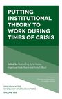 PUTTING INSTITUTIONAL THEORY TO WORK DURING TIMES OF CRISIS. Grüner Hintergrund, formale Typografie.