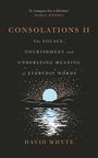 David Whyte: Consolations II, Buch