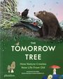 Maciej Michno: The Tomorrow Tree, Buch