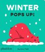 Aurore Petit: Winter Pops Up!, Buch