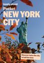 Text: "Pocket NEW YORK CITY. Discover twice the city in half the time." Die Freiheitsstatue, umrahmt von herbstlichen Blättern.