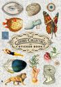 Grace Wilmshurst: The Curious Collectibles Sticker Book, Buch