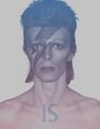 : David Bowie Is, Buch