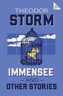 Theodor Storm: Immensee and Other Stories, Buch