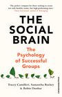 Tracey Camilleri: The Social Brain: The Psychology of Successful Groups, Buch