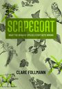 Clare Follmann: Scapegoat, Buch