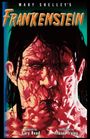 Mary Shelley: Frankenstein-The Graphic Novel, Buch