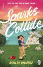 Ashley Munoz: Sparks Collide, Buch