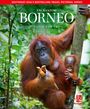 „ENCHANTING BORNEO“ von David Bowden. Ein Orang-Utan mit Baby in einem grünen Wald, Verlag „John Beaufoy Publishing“.