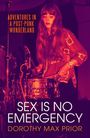 Dorothy Max Prior: Sex Is No Emergency, Buch
