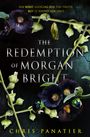 Chris Panatier: The Redemption of Morgan Bright, Buch