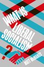 "WHAT IS LIBERAL SOCIALISM? MAT McMANUS" in fetter Schrift. Illustration mit farbigen Streifen und einem Fragezeichen.
