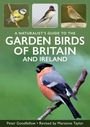 Titel: A Naturalist's Guide to the Garden Birds of Britain and Ireland. Drei kleine Vogelbilder oben.