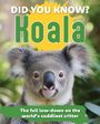 Text: "Did you know? Koala. The full low-down on the world's cuddliest critter." Ein Koala schaut direkt mit grünem Hintergrund.