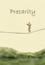 Ian D Morris: Precarity, Buch