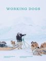 „WORKING DOGS“ steht oben. Ein Trainer mit Schlittenhunden in eisiger Landschaft. Darunter stehen Buchtitel und Autor.