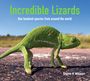 Steve Wilson: Incredible Lizards, Buch