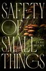Jane Hicks: The Safety of Small Things, Buch