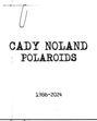 Cady Noland: Cady Noland, Buch