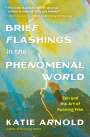 Katie Arnold: Brief Flashings in the Phenomenal World, Buch