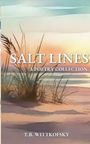 „SALT LINES: A POETRY COLLECTION“, T.B. Wittkofsky. Küstenlandschaft mit Gräsern und Meer in sanften Farben.