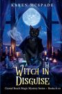 Karen McSpade: Witch In Disguise, Buch