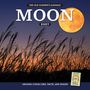 MOON 2027. Landschaft mit Schilf vor einem großen, orangefarbenen Vollmond am Abendhimmel.