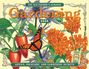 Old Farmer'S Almanac: The 2026 Old Farmer's Almanac Gardening Wall Calendar, Buch