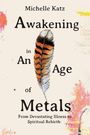Michelle O'Connell Katz: Awakening in An Age of Metals, Buch