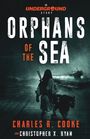 „Orphans of the Sea“ in großer Schrift. Person mit Schwert und schwarzer Panther auf einem Steg, zerstörtes Schiff im Meer.