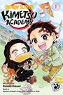 Natsuki Hokami: Demon Slayer: Kimetsu Academy, Vol. 1, Buch