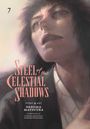 Daruma Matsuura: Steel of the Celestial Shadows, Vol. 7, Buch