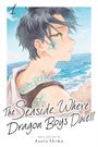 Asato Shima: The Seaside Where Dragon Boys Dwell, Vol. 1, Buch