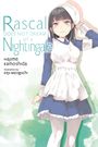 Hajime Kamoshida: Rascal Does Not Dream, Vol. 11 (light novel), Buch