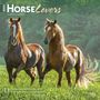 : Horse Lovers 2024 Square, KAL