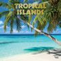 : Tropical Islands 2024 Square Foil, KAL