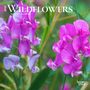 : Wildflowers 2024 Mini 7x7, Buch