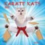 : Karate Kats 2024 Mini, Buch
