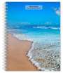 Browntrout: Beaches 2025 6 X 7.75 Inch Spiral-Bound Wire-O Weekly Engagement Planner Calendar New Full-Color Image Every Week, KAL