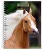 Browntrout: Horse Lovers 2025 6 X 7.75 Inch Spiral-Bound Wire-O Weekly Engagement Planner Calendar New Full-Color Image Every Week, KAL