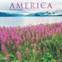 Browntrout: America 2025 12 X 24 Inch Monthly Square Wall Calendar Foil Stamped Cover Plastic-Free, KAL