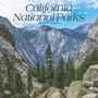 Browntrout: California National Parks 2025 12 X 24 Inch Monthly Square Wall Calendar Plastic-Free, KAL