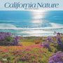 Browntrout: California Nature 2025 12 X 24 Inch Monthly Square Wall Calendar Plastic-Free, KAL