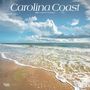 Browntrout: Carolina Coast 2025 12 X 24 Inch Monthly Square Wall Calendar Plastic-Free, KAL